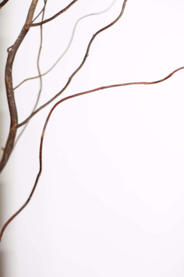 NordWood-5149 NordWood-5149